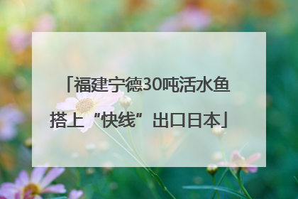 福建宁德30吨活水鱼搭上“快线”出口日本