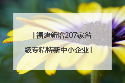 福建新增207家省级专精特新中小企业