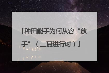 种田能手为何从容“放手”（三夏进行时）