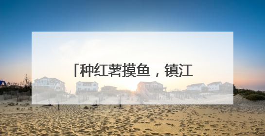 种红薯摸鱼，镇江这家学校在田间池畔见证学生快乐成长