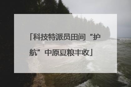 科技特派员田间“护航”中原夏粮丰收