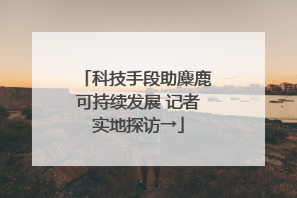 科技手段助麋鹿可持续发展 记者实地探访→