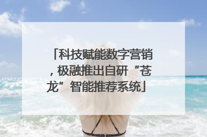 科技赋能数字营销，极融推出自研“苍龙”智能推荐系统