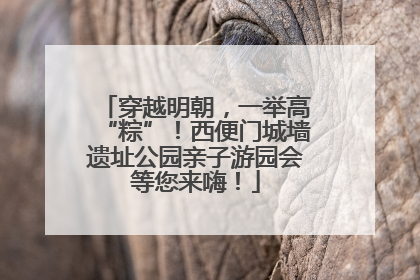 穿越明朝，一举高“粽”！西便门城墙遗址公园亲子游园会等您来嗨！