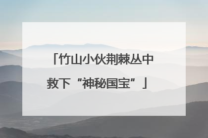 竹山小伙荆棘丛中救下“神秘国宝”
