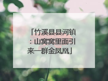 竹溪县县河镇：山窝窝里面引来一群金凤凰