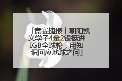 竞赛捷报丨朝阳凯文学子4金2银挺进IGB全球轮，用知识回应地球之问