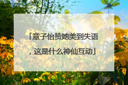章子怡赞她美到失语，这是什么神仙互动