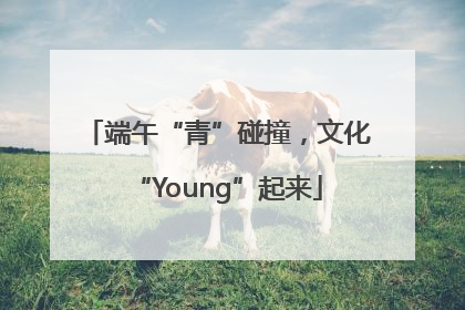 端午“青”碰撞，文化“Young”起来