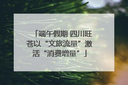 端午假期 四川旺苍以“文旅流量”激活“消费增量”