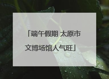端午假期 太原市文博场馆人气旺