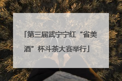 第三届武宁宁红“省美酒”杯斗茶大赛举行
