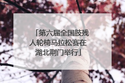 第六届全国肢残人轮椅马拉松赛在湖北荆门举行