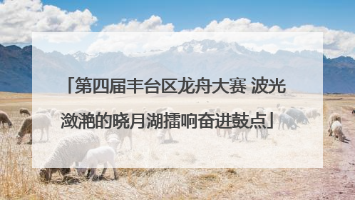 第四届丰台区龙舟大赛 波光潋滟的晓月湖擂响奋进鼓点