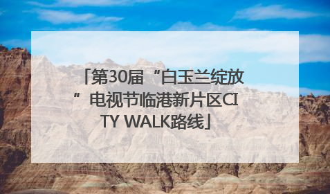 第30届“白玉兰绽放”电视节临港新片区CITY WALK路线