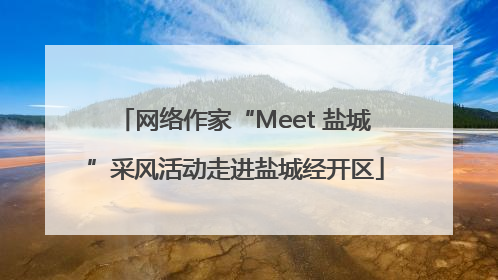 网络作家“Meet 盐城”采风活动走进盐城经开区