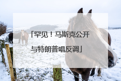 罕见！马斯克公开与特朗普唱反调