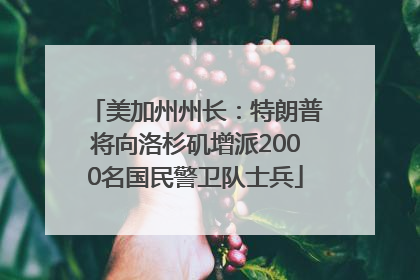 美加州州长：特朗普将向洛杉矶增派2000名国民警卫队士兵