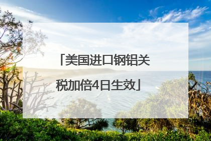 美国进口钢铝关税加倍4日生效