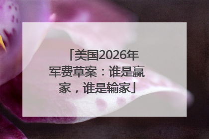 美国2026年军费草案：谁是赢家，谁是输家