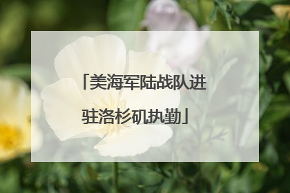 美海军陆战队进驻洛杉矶执勤