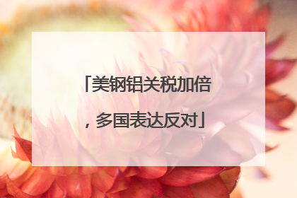 美钢铝关税加倍，多国表达反对