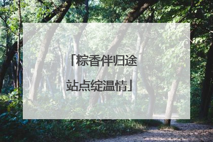 粽香伴归途 站点绽温情