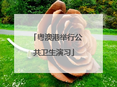 粤澳港举行公共卫生演习