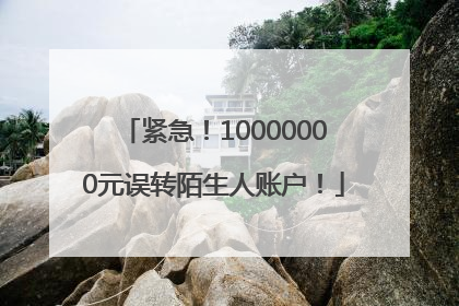 紧急！10000000元误转陌生人账户！