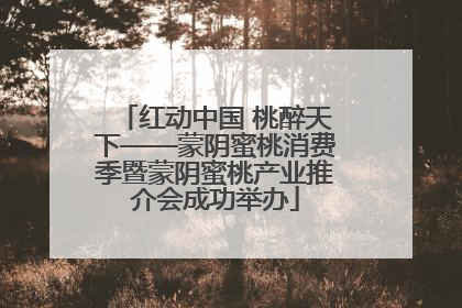 红动中国 桃醉天下——蒙阴蜜桃消费季暨蒙阴蜜桃产业推介会成功举办