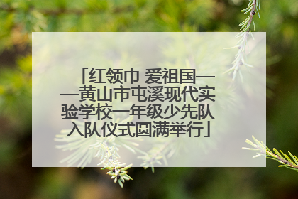 红领巾 爱祖国——黄山市屯溪现代实验学校一年级少先队入队仪式圆满举行