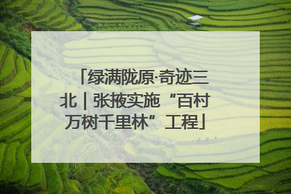绿满陇原·奇迹三北｜张掖实施“百村万树千里林”工程