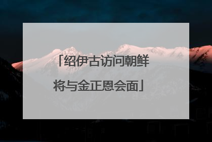 绍伊古访问朝鲜 将与金正恩会面