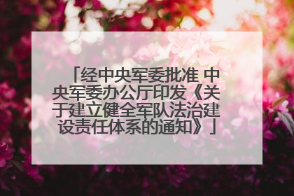 经中央军委批准 中央军委办公厅印发《关于建立健全军队法治建设责任体系的通知》