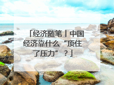 经济随笔丨中国经济靠什么“顶住了压力”？