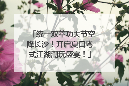 统一双萃功夫节空降长沙！开启夏日粤式江湖潮玩盛宴！