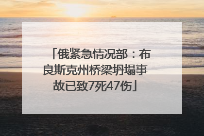 俄紧急情况部：布良斯克州桥梁坍塌事故已致7死47伤