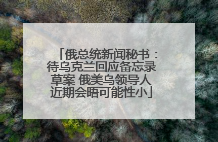 俄总统新闻秘书：待乌克兰回应备忘录草案 俄美乌领导人近期会晤可能性小