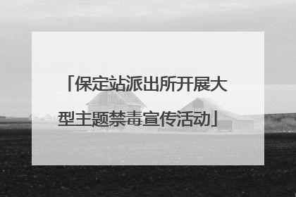 保定站派出所开展大型主题禁毒宣传活动