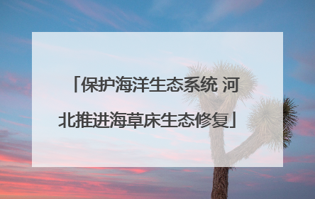 保护海洋生态系统 河北推进海草床生态修复