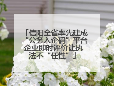 信阳全省率先建成“公务入企码”平台 企业即时评价让执法不“任性”