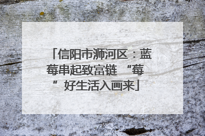 信阳市浉河区：蓝莓串起致富链 “莓”好生活入画来