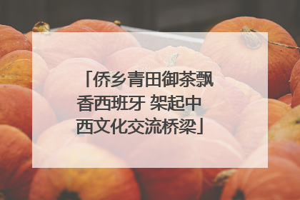 侨乡青田御茶飘香西班牙 架起中西文化交流桥梁