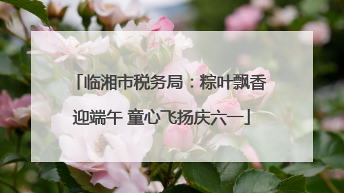 临湘市税务局：粽叶飘香迎端午 童心飞扬庆六一