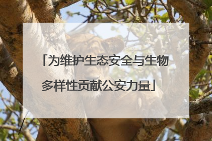 为维护生态安全与生物多样性贡献公安力量