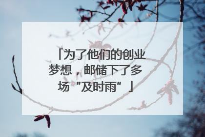 为了他们的创业梦想，邮储下了多场“及时雨”