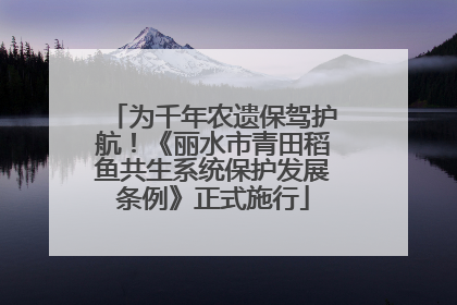 为千年农遗保驾护航！《丽水市青田稻鱼共生系统保护发展条例》正式施行