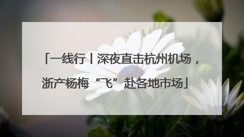 一线行丨深夜直击杭州机场，浙产杨梅“飞”赴各地市场