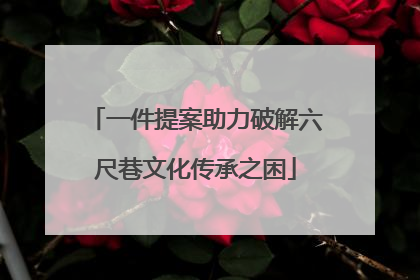 一件提案助力破解六尺巷文化传承之困