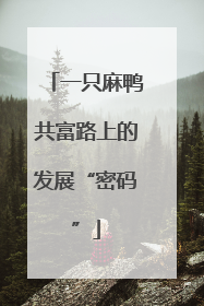 一只麻鸭共富路上的发展“密码”